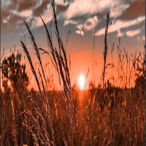 Meet your Posher, Emersyn